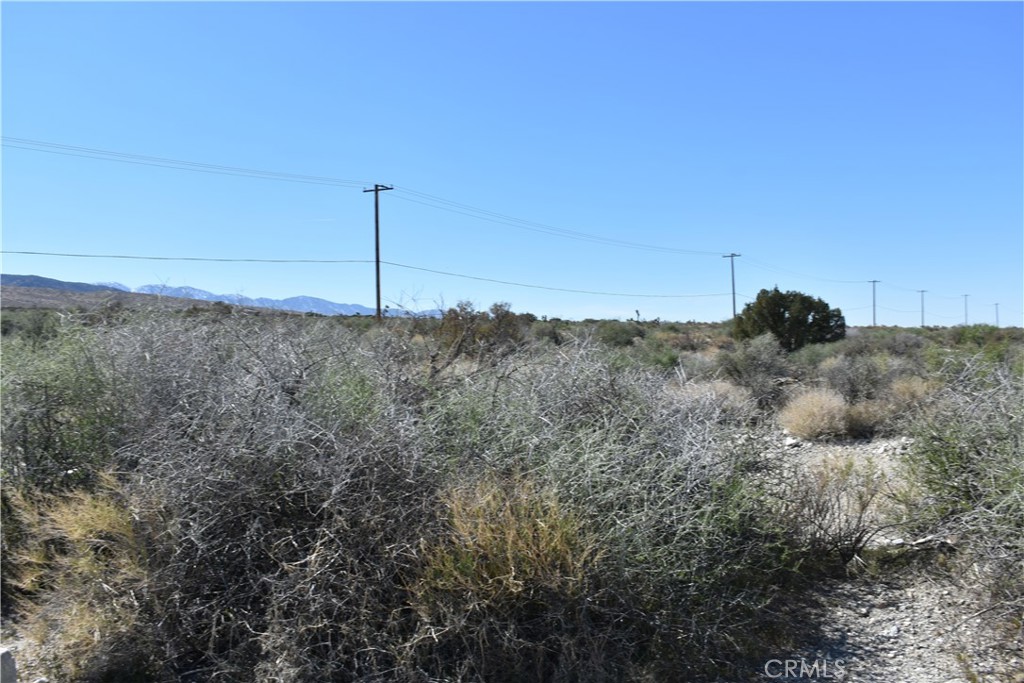 0 Vac/Fort Tejon Drt /Ave Y8