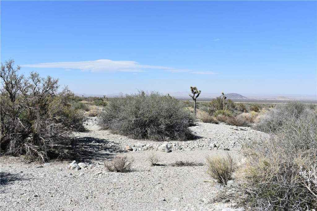 0 Vac/Fort Tejon Drt /Ave Y8