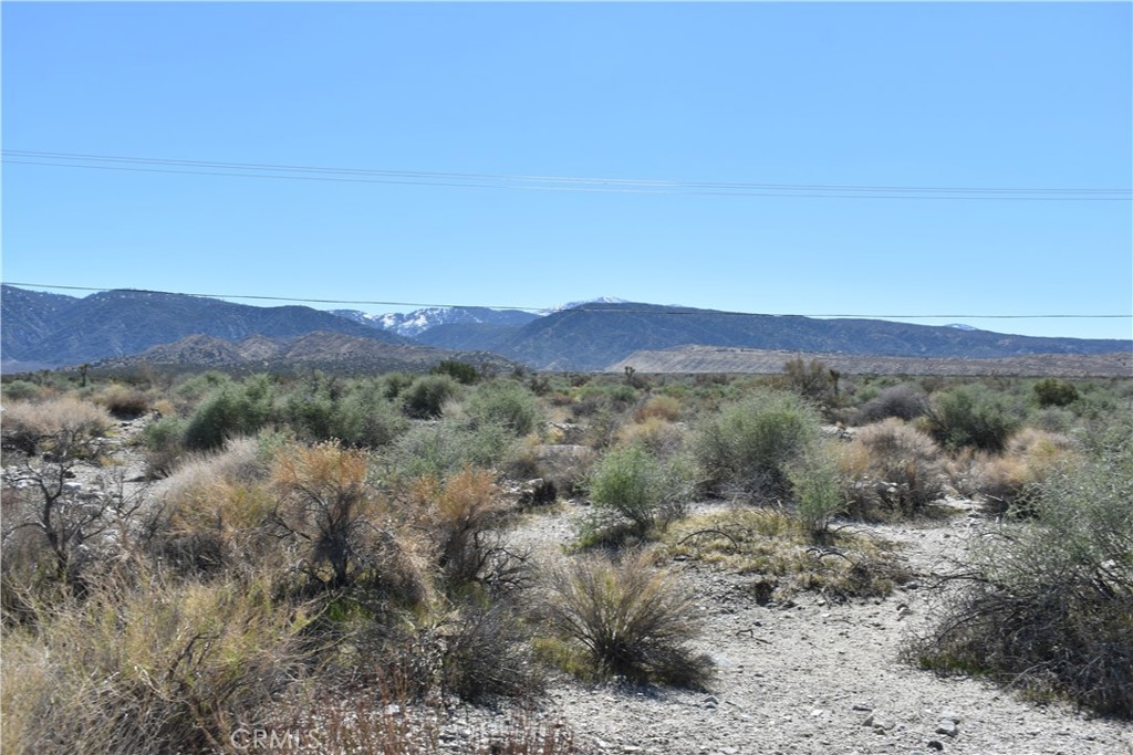 0 Vac/Fort Tejon Drt /Ave Y8