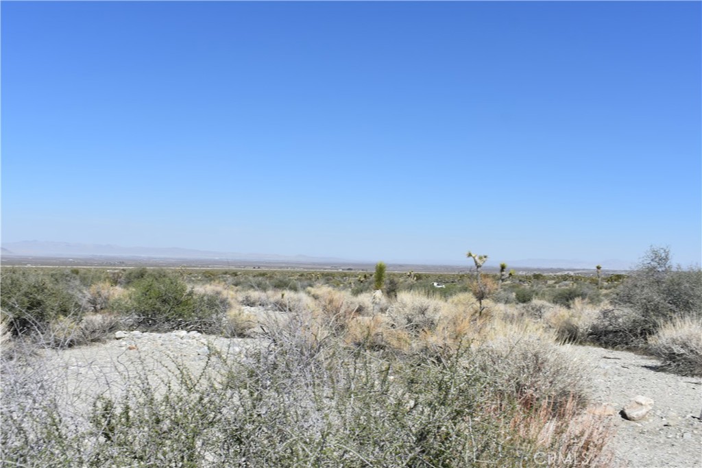 0 Vac/Fort Tejon Drt /Ave Y8