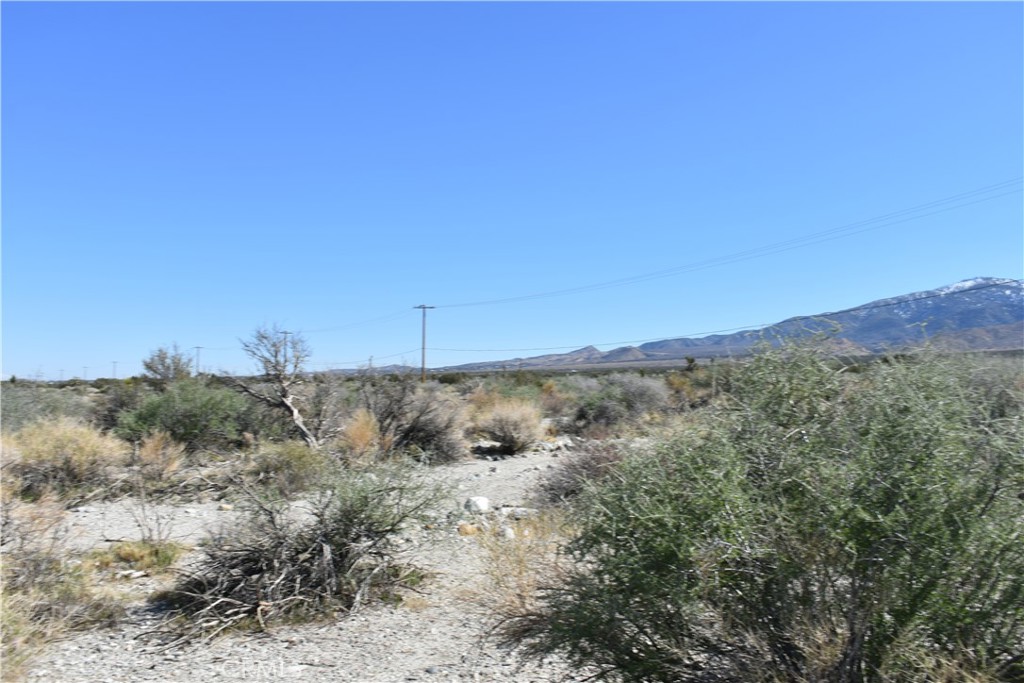 0 Vac/Fort Tejon Drt /Ave Y8