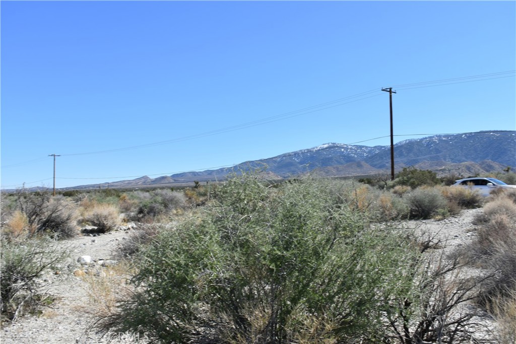 0 Vac/Fort Tejon Drt /Ave Y8