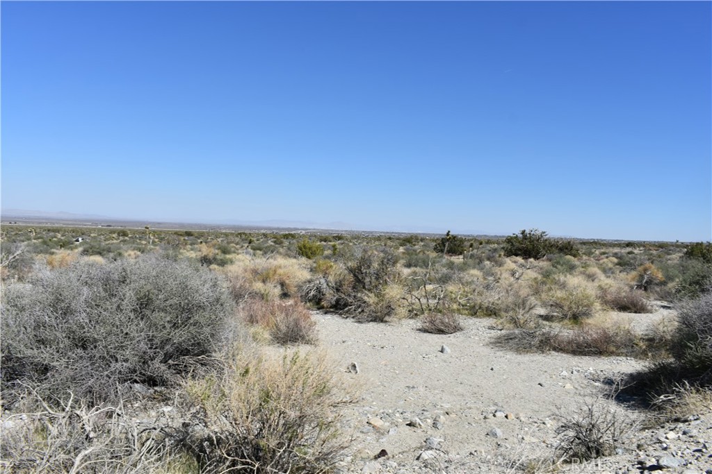 0 Vac/Fort Tejon Drt /Ave Y8