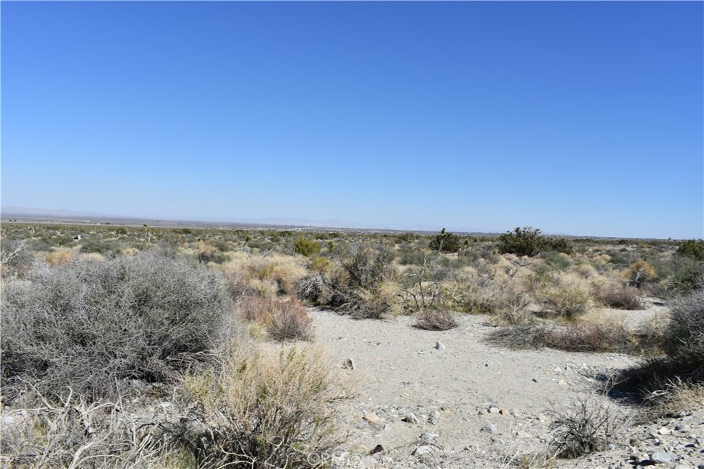 0 Vac/Fort Tejon Drt /Ave Y8