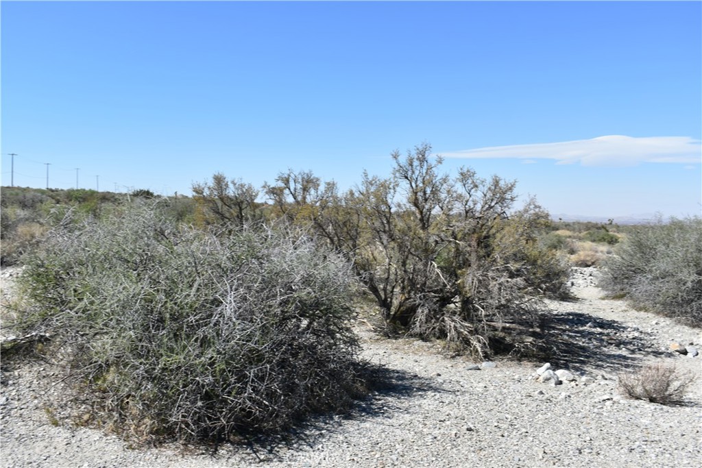 0 Vac/Fort Tejon Drt /Ave Y8