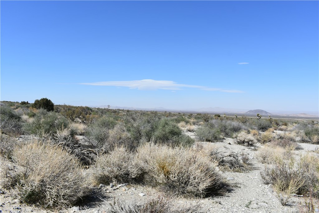 0 Vac/Fort Tejon Drt /Ave Y8