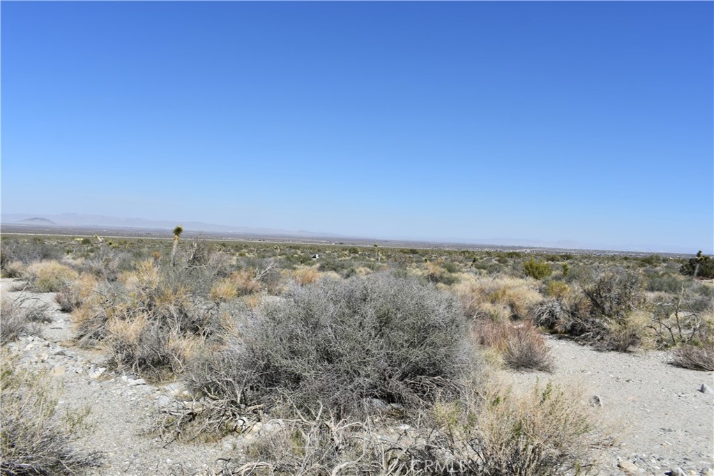 0 Vac/Fort Tejon Drt /Ave Y8