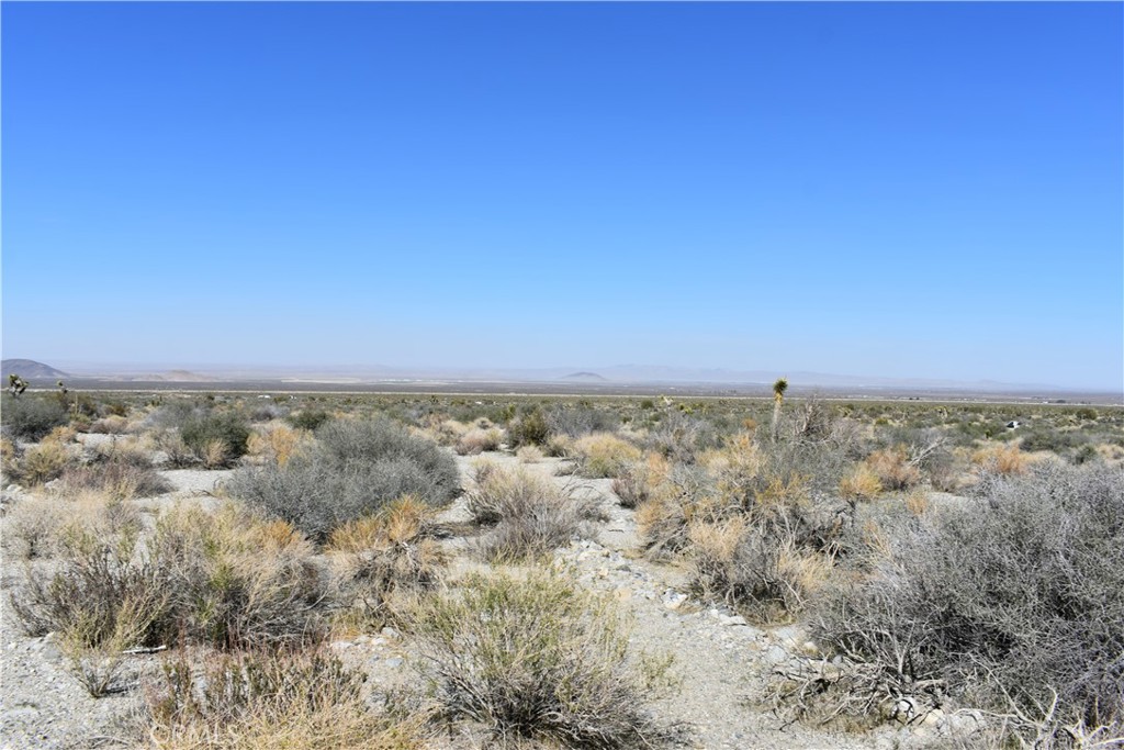 0 Vac/Fort Tejon Drt /Ave Y8