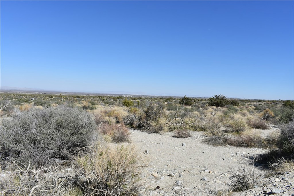 0 Vac/Fort Tejon Drt /Ave Y8