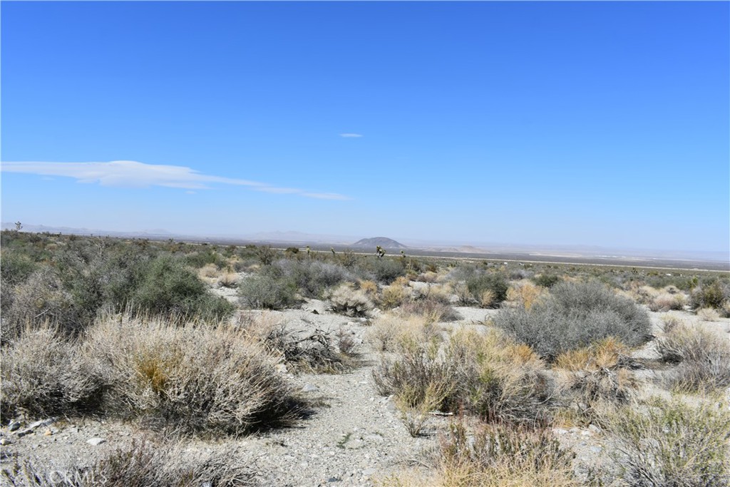 0 Vac/Fort Tejon Drt /Ave Y8