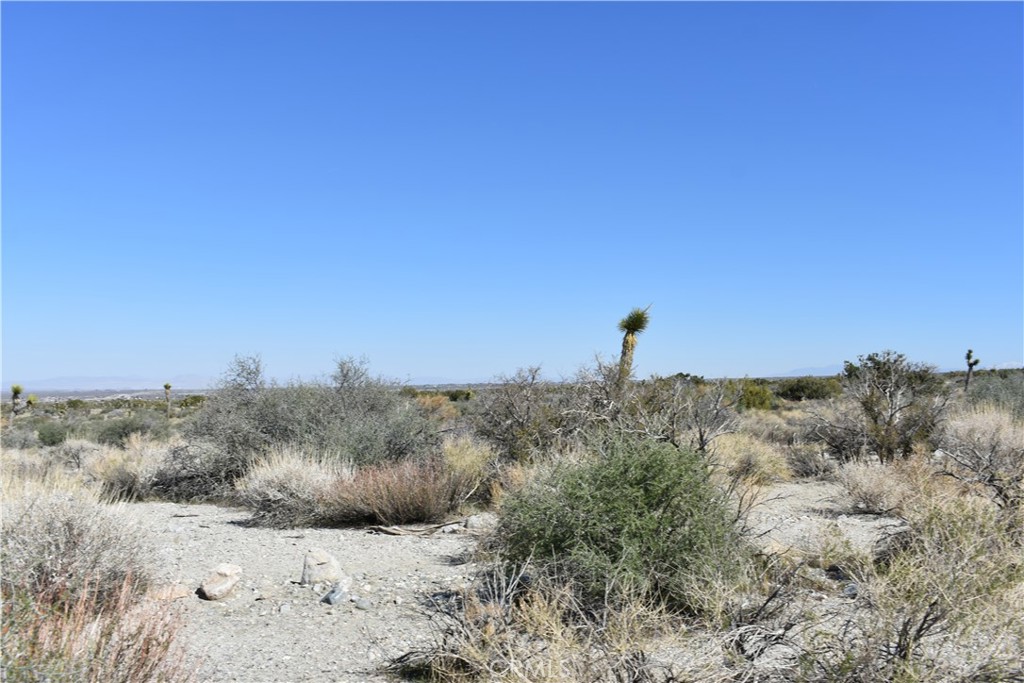 0 Vac/Fort Tejon Drt /Ave Y8