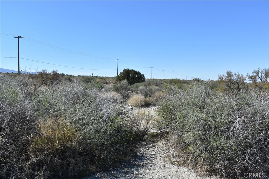 0 Vac/Fort Tejon Drt /Ave Y8