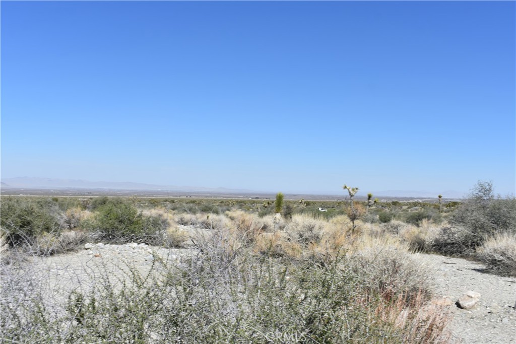 0 Vac/Fort Tejon Drt /Ave Y8