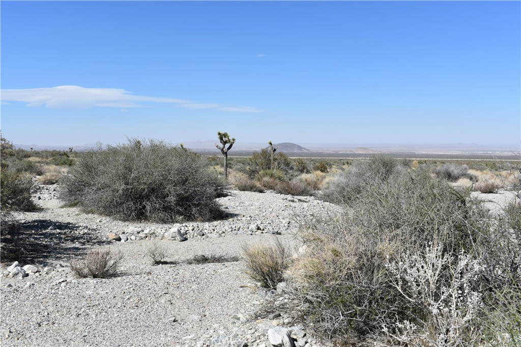 0 Vac/Fort Tejon Drt /Ave Y8