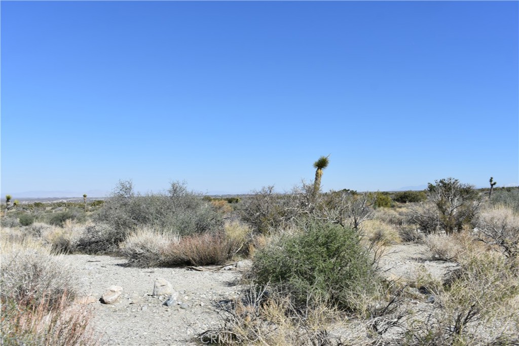 0 Vac/Fort Tejon Drt /Ave Y8