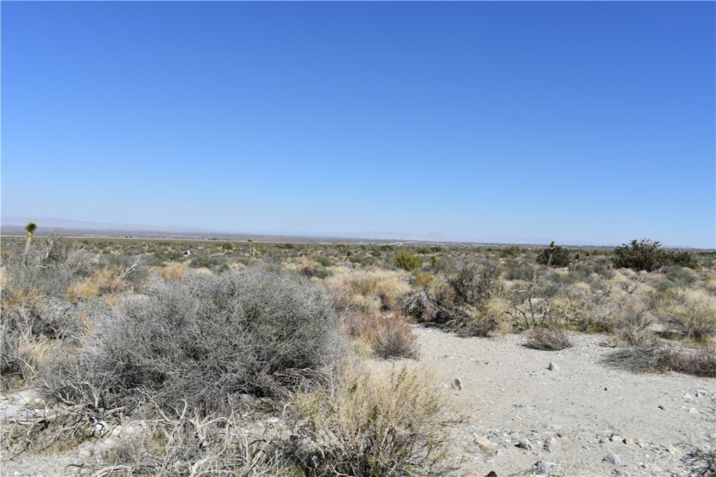 0 Vac/Fort Tejon Drt /Ave Y8