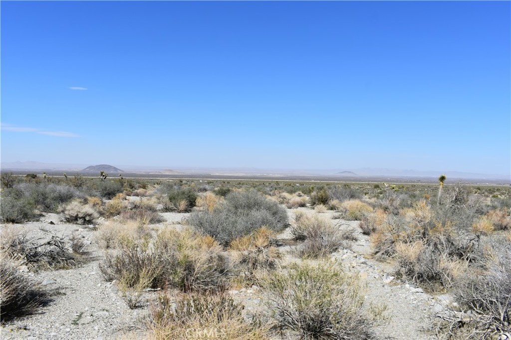 0 Vac/Fort Tejon Drt /Ave Y8