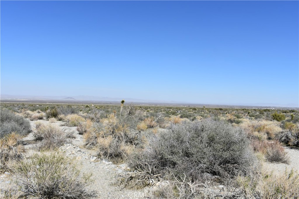 0 Vac/Fort Tejon Drt /Ave Y8