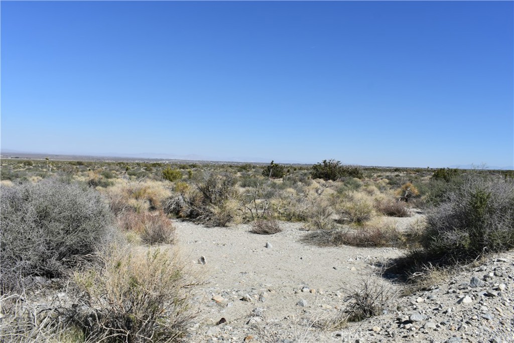 0 Vac/Fort Tejon Drt /Ave Y8