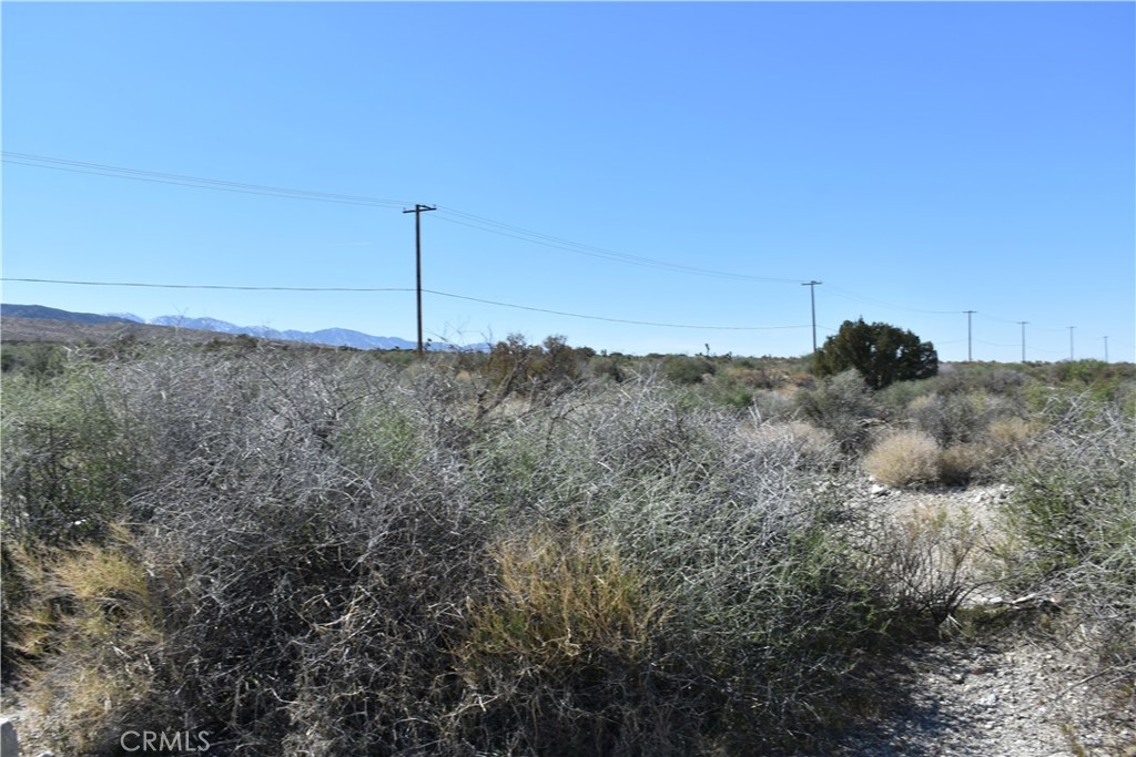 0 Vac/Fort Tejon Drt /Ave Y8