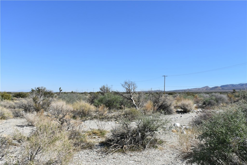 0 Vac/Fort Tejon Drt /Ave Y8