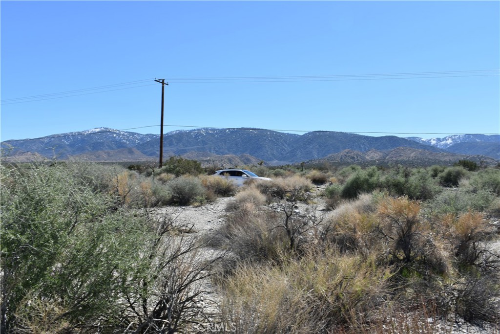 0 Vac/Fort Tejon Drt /Ave Y8