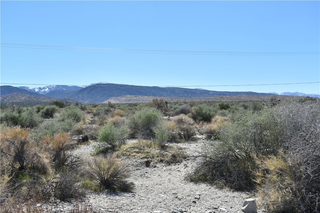 0 Vac/Fort Tejon Drt /Ave Y8