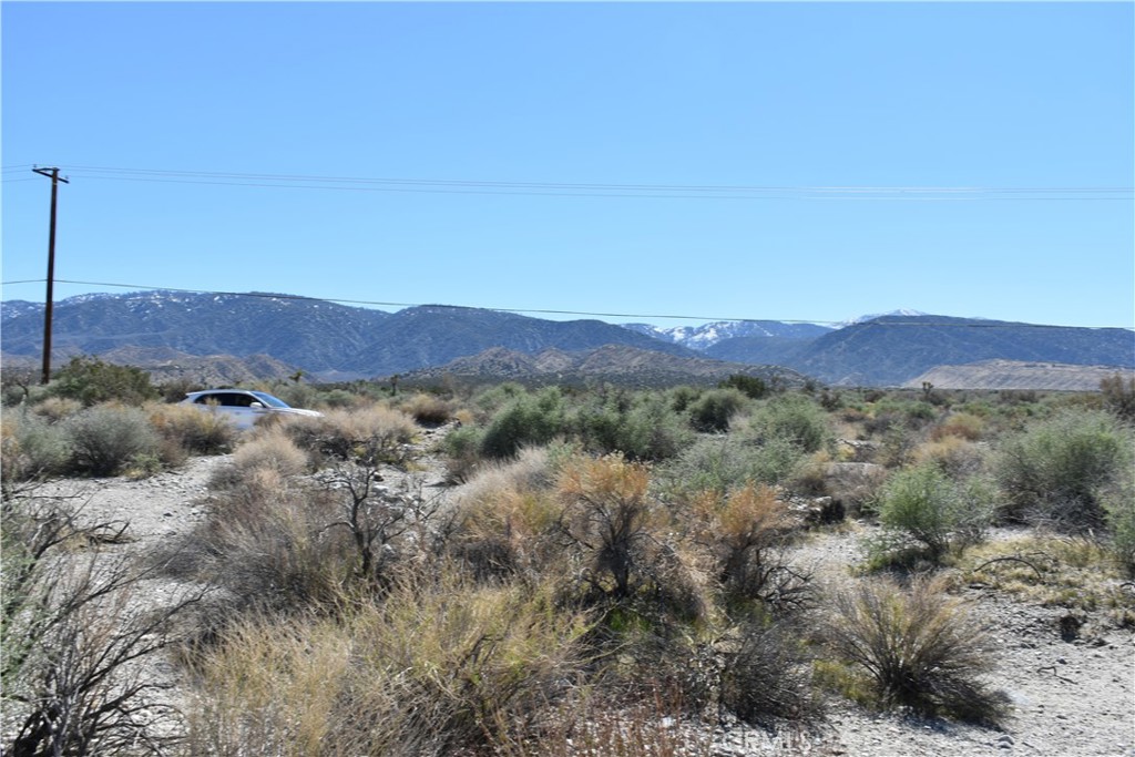 0 Vac/Fort Tejon Drt /Ave Y8