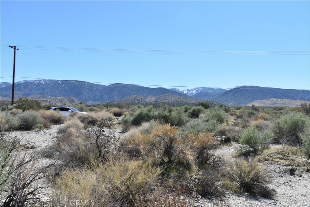 0 Vac/Fort Tejon Drt /Ave Y8