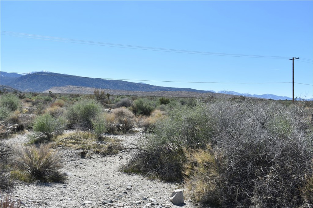 0 Vac/Fort Tejon Drt /Ave Y8