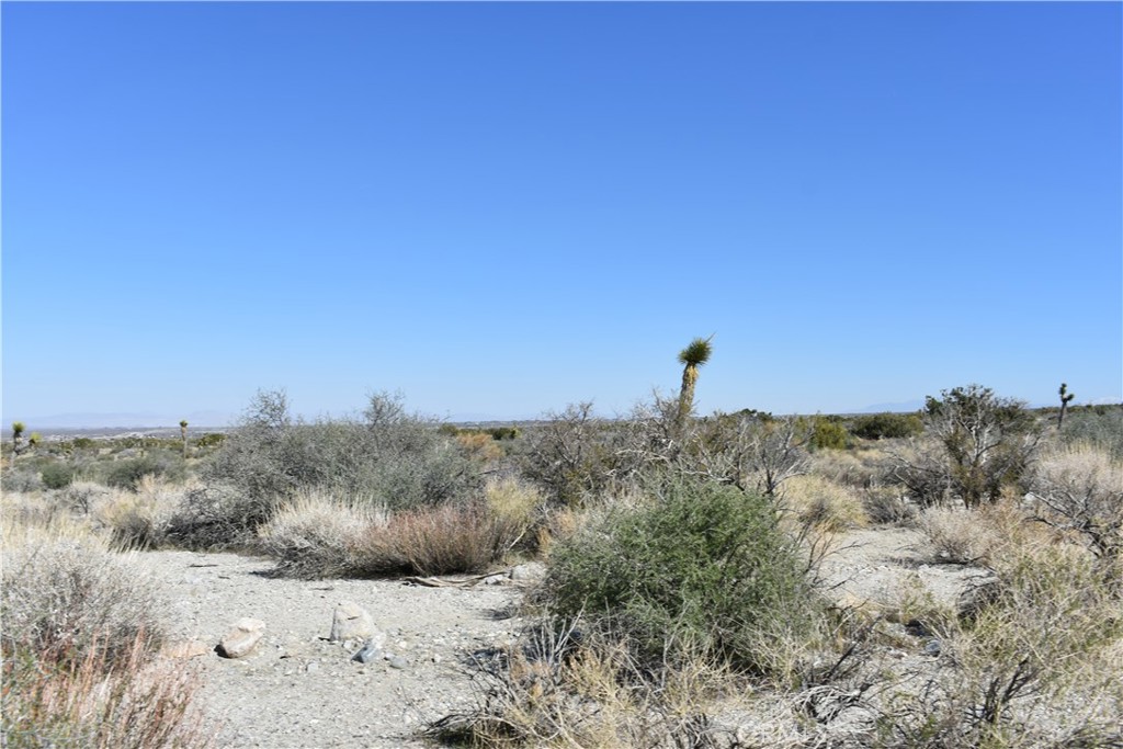 0 Vac/Fort Tejon Drt /Ave Y8