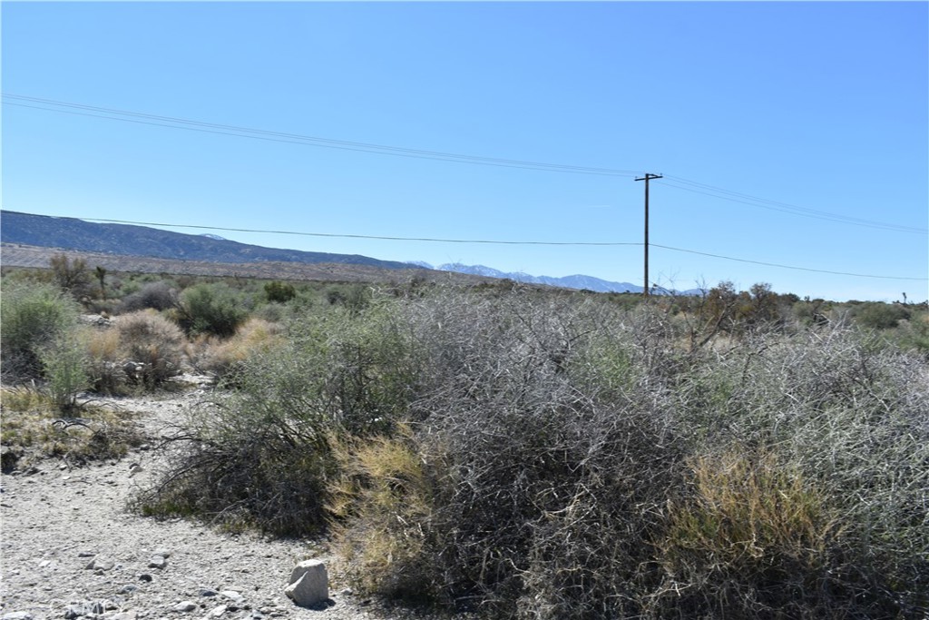 0 Vac/Fort Tejon Drt /Ave Y8