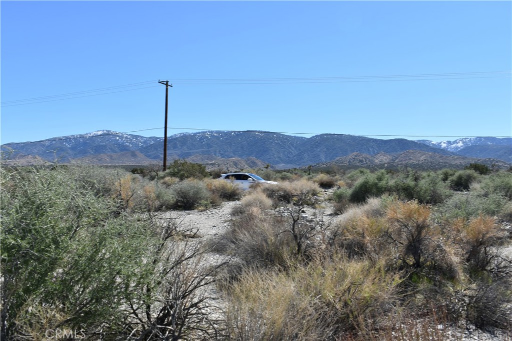 0 Vac/Fort Tejon Drt /Ave Y8