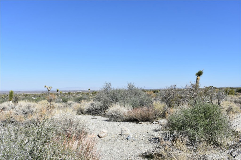 0 Vac/Fort Tejon Drt /Ave Y8