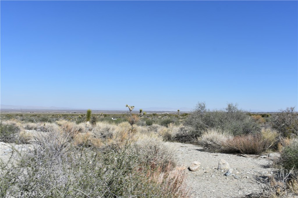 0 Vac/Fort Tejon Drt /Ave Y8