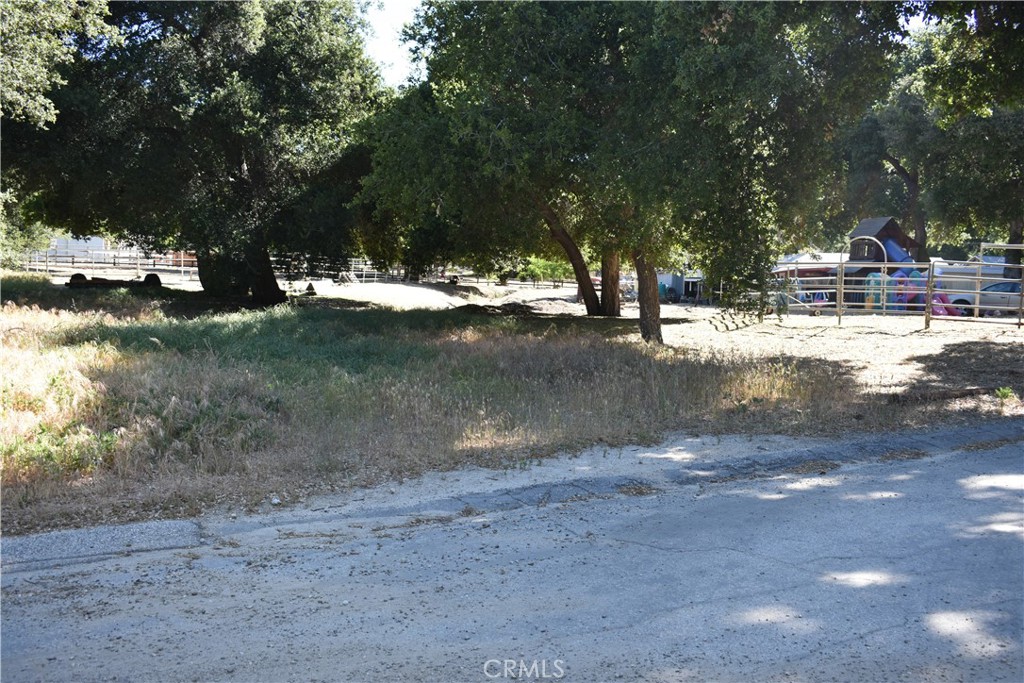 0 Vac/Sn Luis Potosi/Vic Eljorna