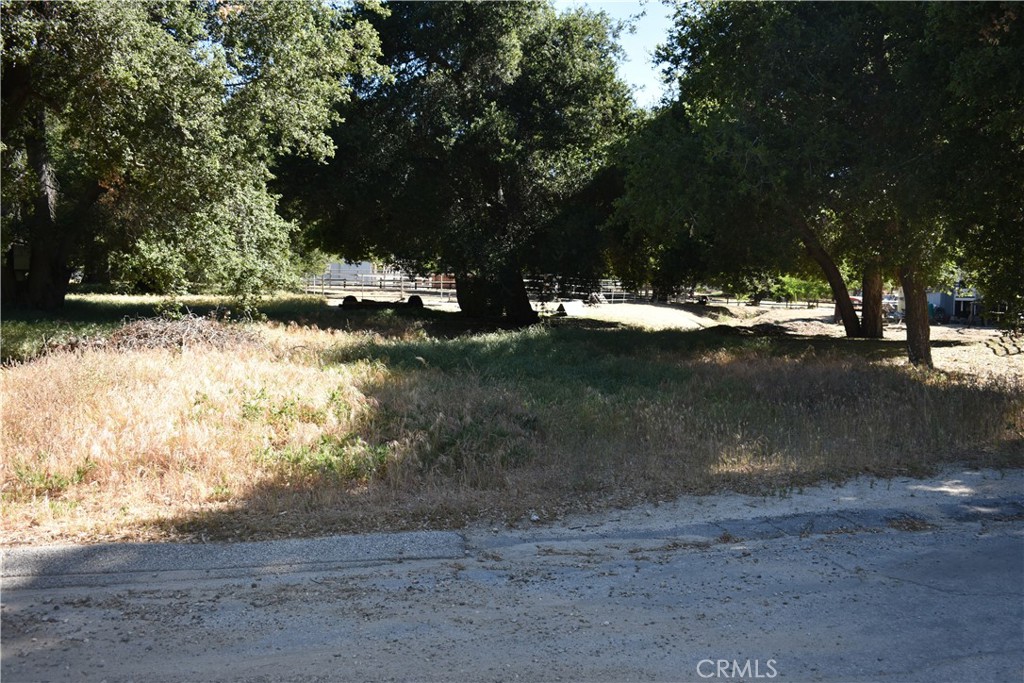 0 Vac/Sn Luis Potosi/Vic Eljorna