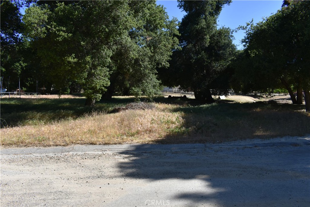 0 Vac/Sn Luis Potosi/Vic Eljorna