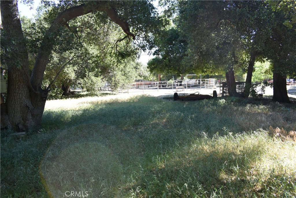 0 Vac/Sn Luis Potosi/Vic Eljorna