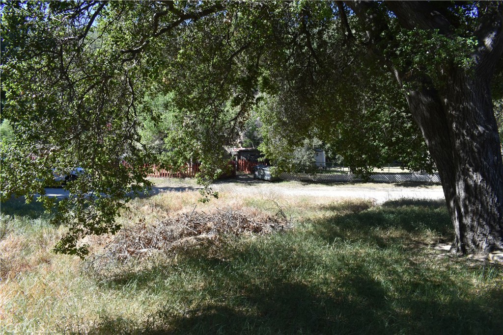 0 Vac/Sn Luis Potosi/Vic Eljorna