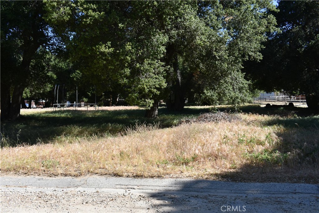 0 Vac/Sn Luis Potosi/Vic Eljorna