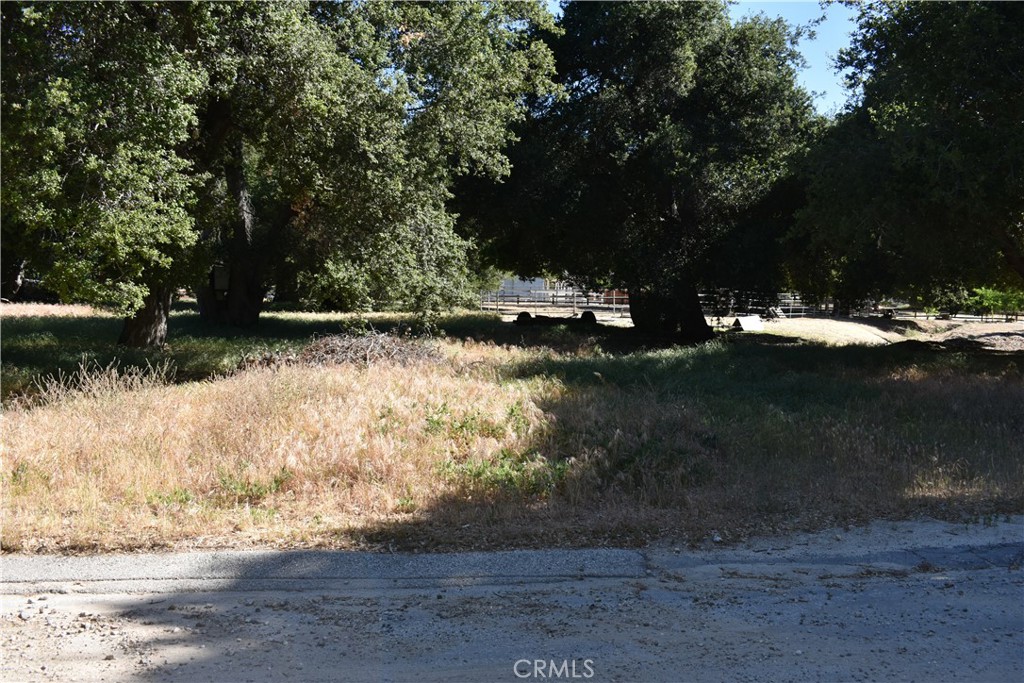 0 Vac/Sn Luis Potosi/Vic Eljorna