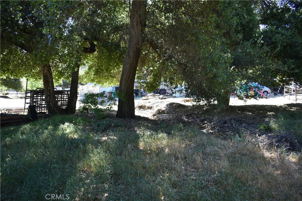 0 Vac/Sn Luis Potosi/Vic Eljorna