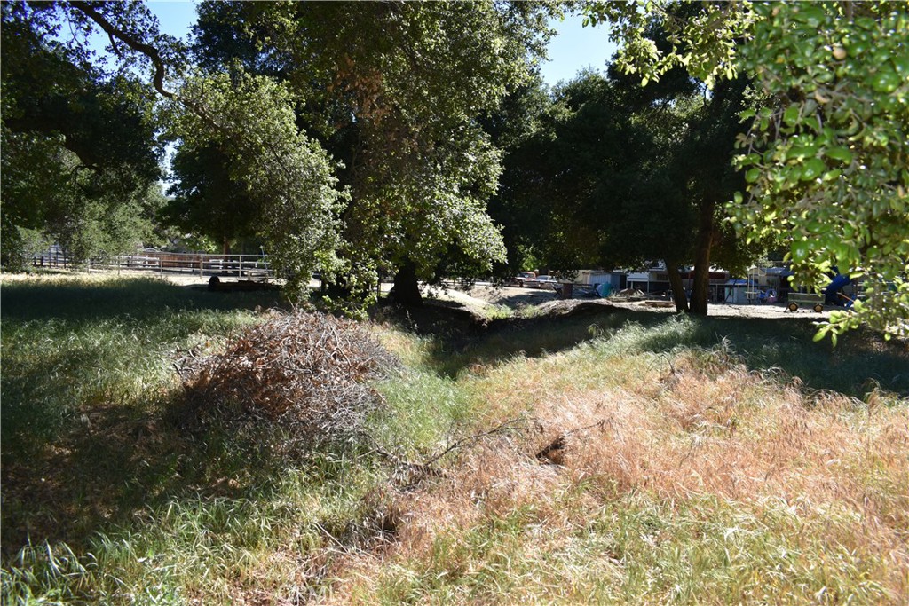 0 Vac/Sn Luis Potosi/Vic Eljorna