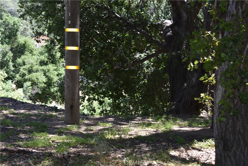 0 Vac Calle El Baranco/Vic Spunk