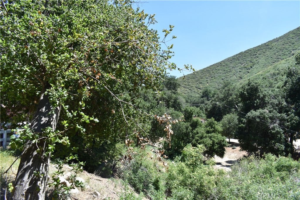 0 Vac Calle El Baranco/Vic Spunk