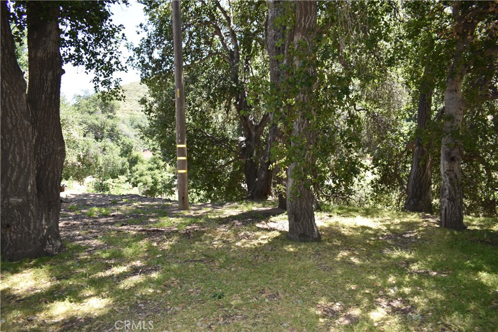 0 Vac Calle El Baranco/Vic Spunk