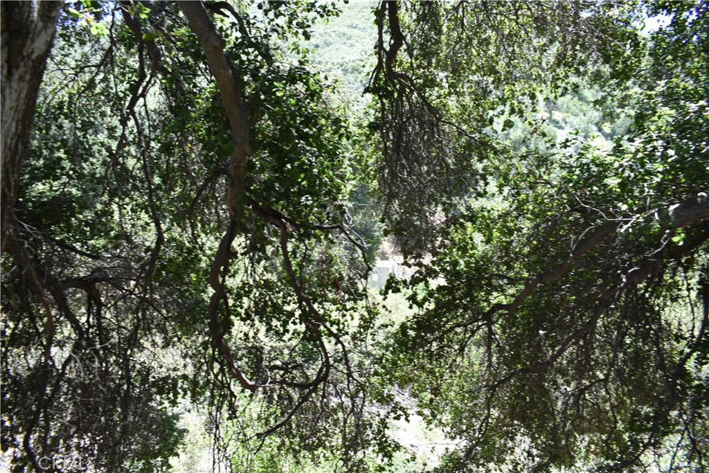 0 Vac Calle El Baranco/Vic Spunk