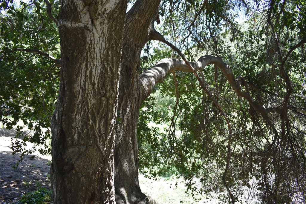 0 Vac Calle El Baranco/Vic Spunk