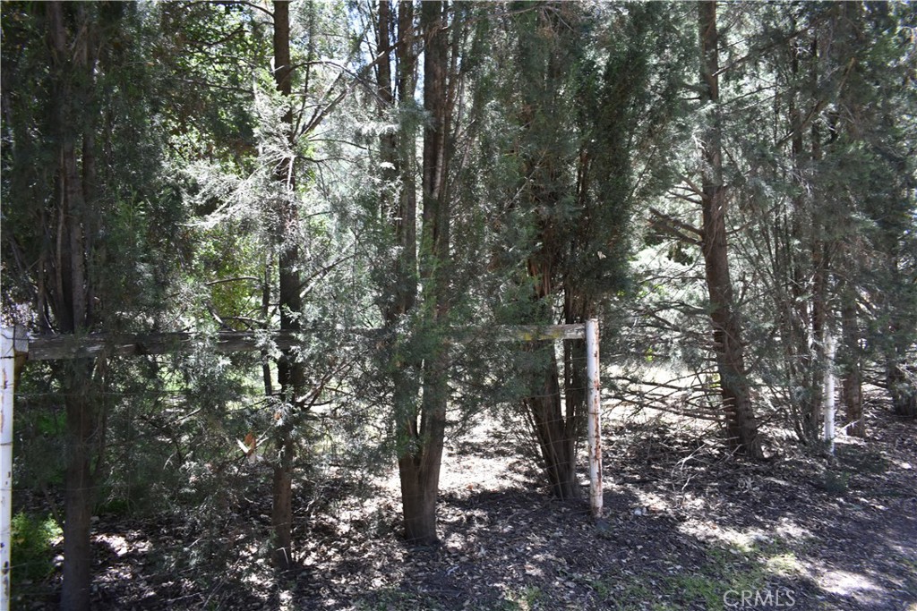 0 Vac Calle El Baranco/Vic Spunk